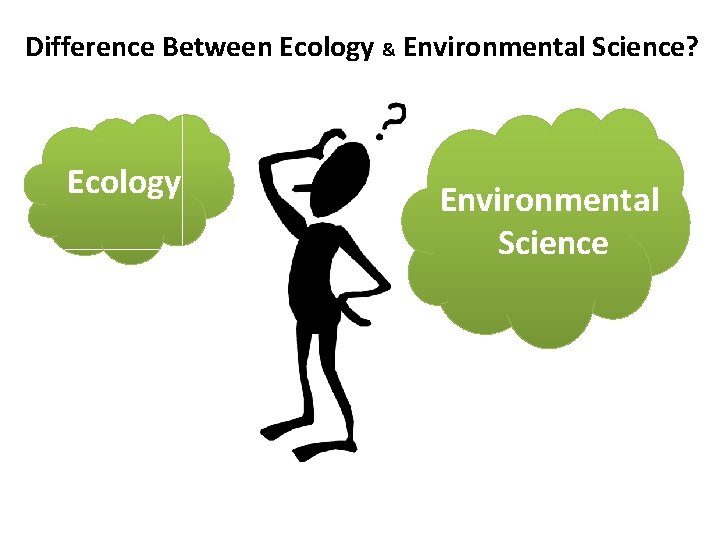 Ecology vs Environmental Science: Understanding the Key Differences Between These Interconnected Fields