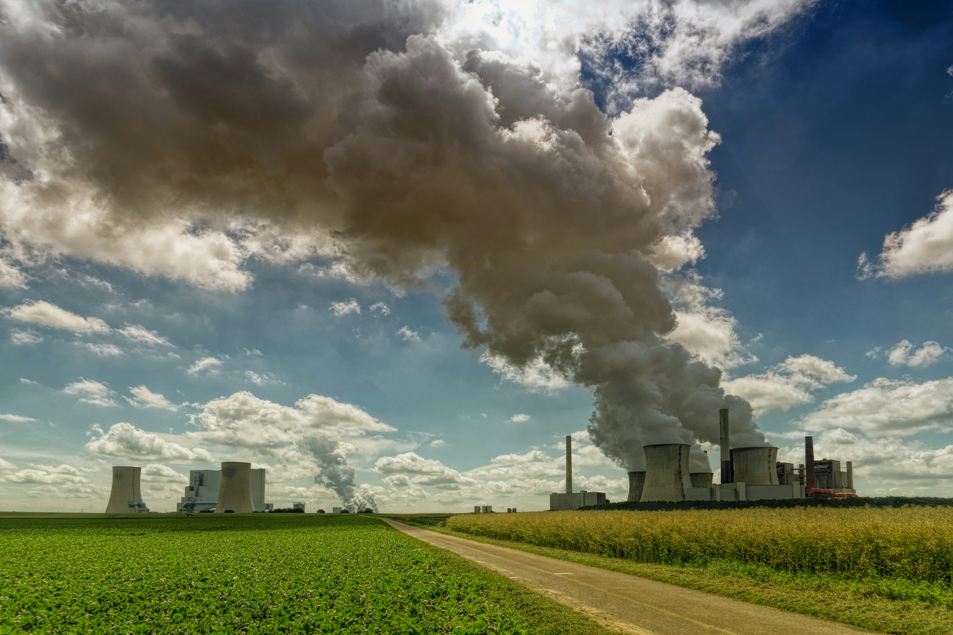 Unlocking Energy Efficiency: Modern Climate Control Solutions for Greenhouses