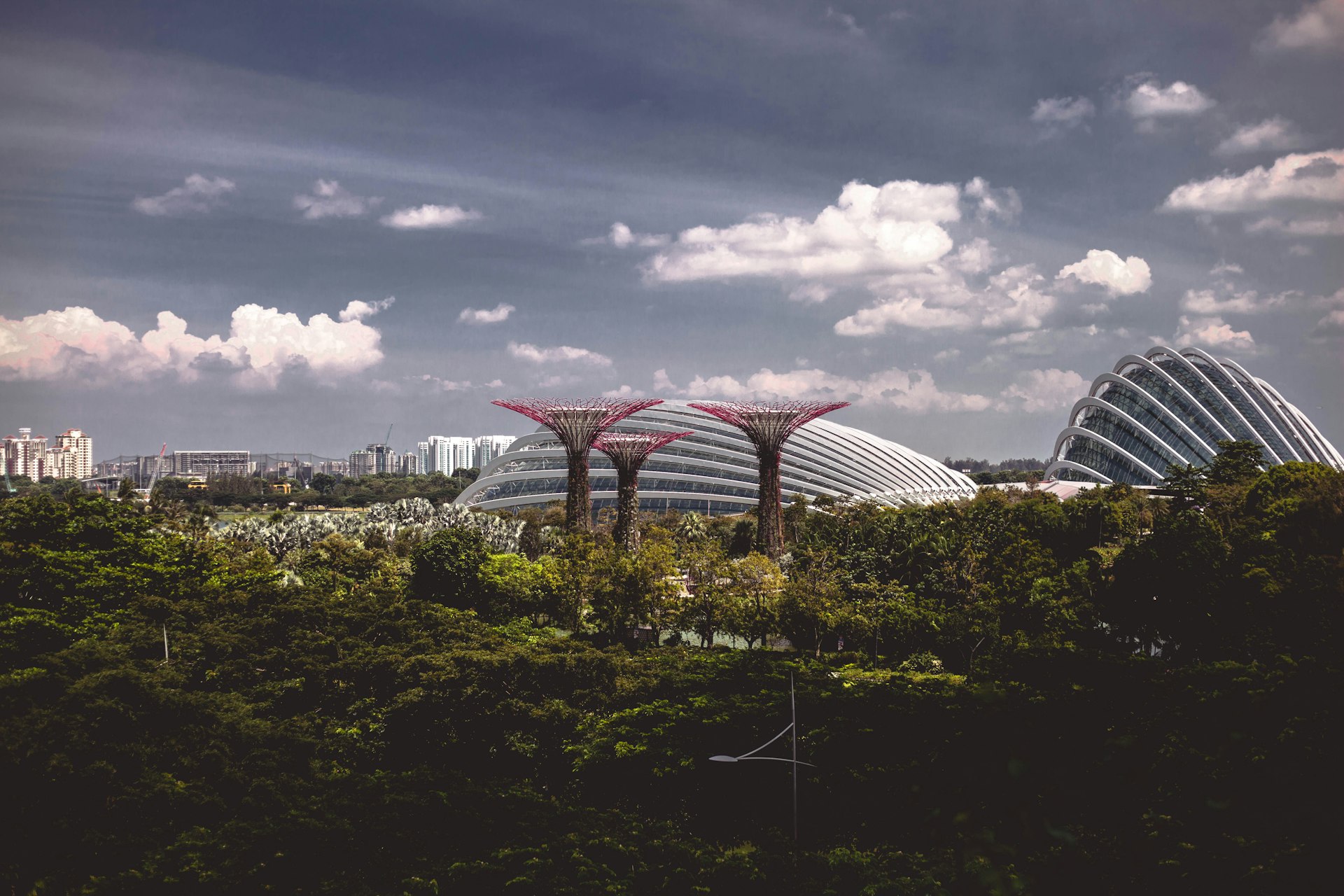 Eco-Friendly Stadium Designs: Innovations Transforming Sports Venues