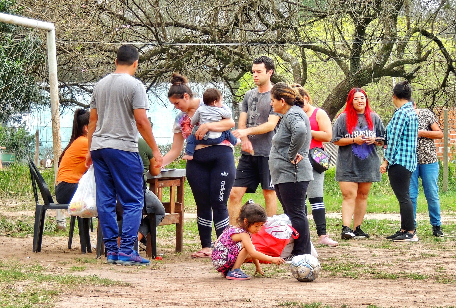 How Shelter Volunteer Programs Strengthen Communities and Transform Lives