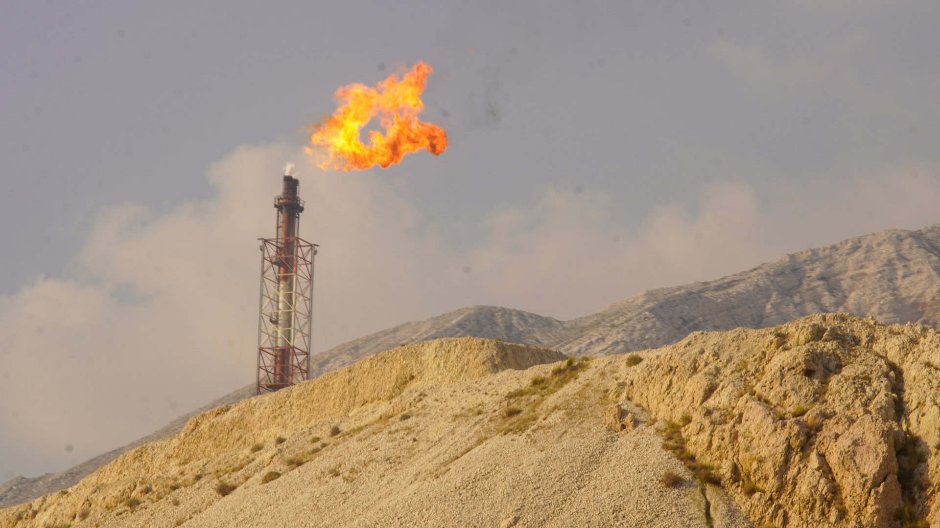 The Environmental Impact of Petroleum: Why Oil Is Bad for the Environment