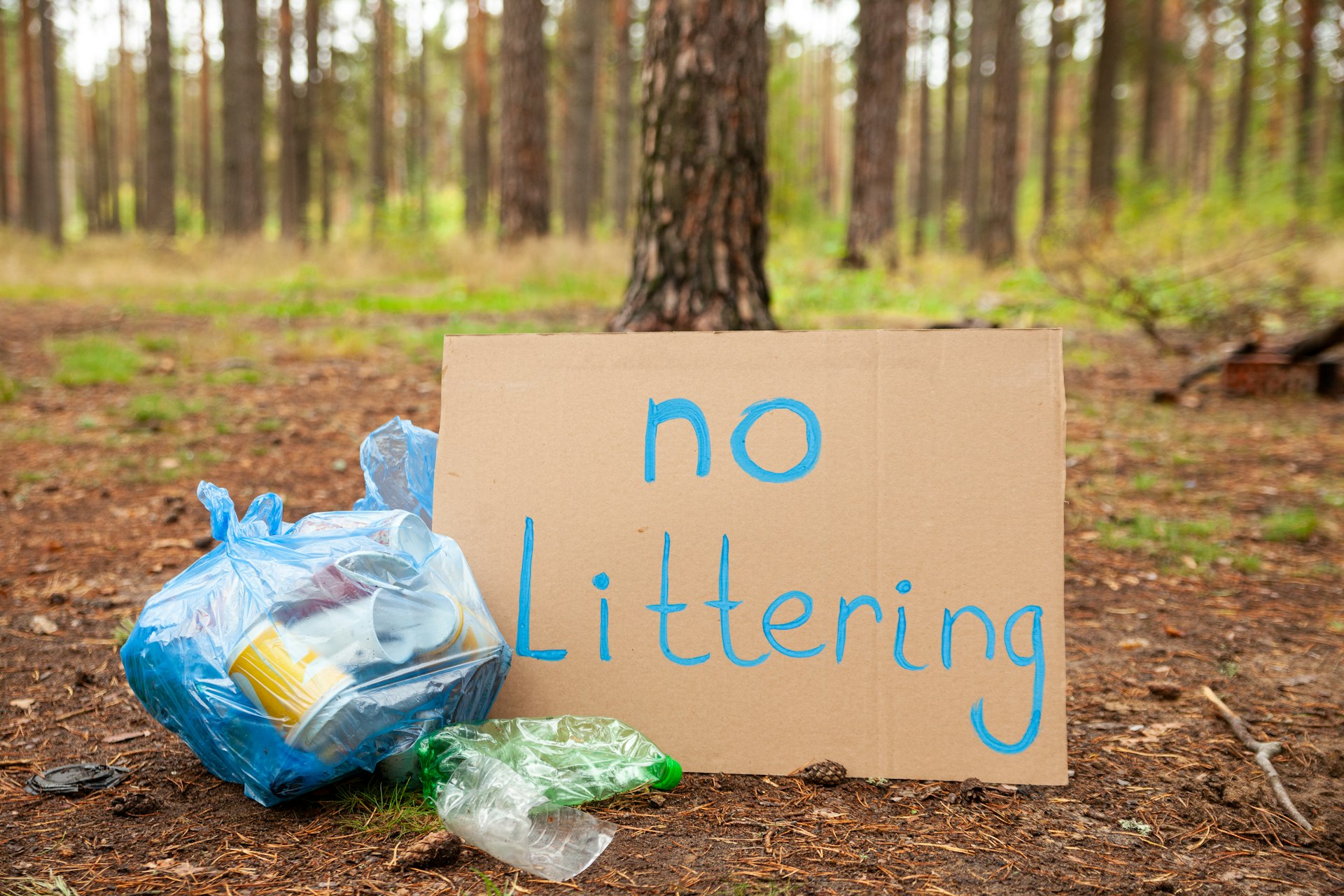 The Impact of Littering, Why Trash Harms the Environment, and How Picking Up Trash Makes a Difference