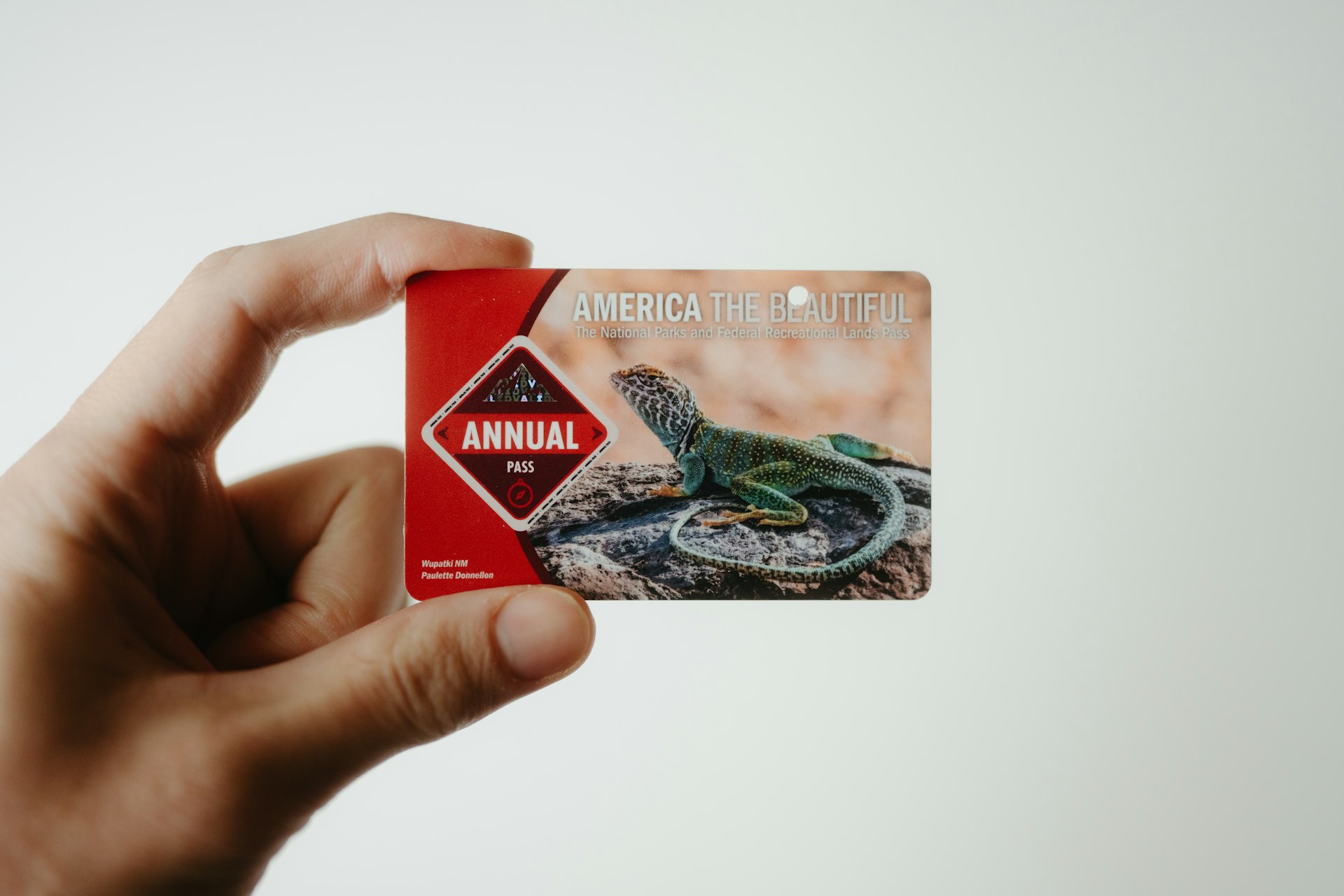 How to Choose the Right Bank for the Best Travel Credit Card: Comprehensive Guide for 2025